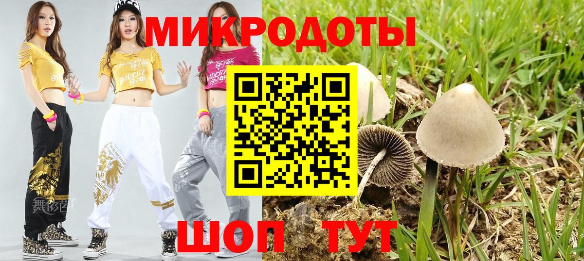 Галлюциногенные грибы GOLDEN TEACHER Верхняя Пышма